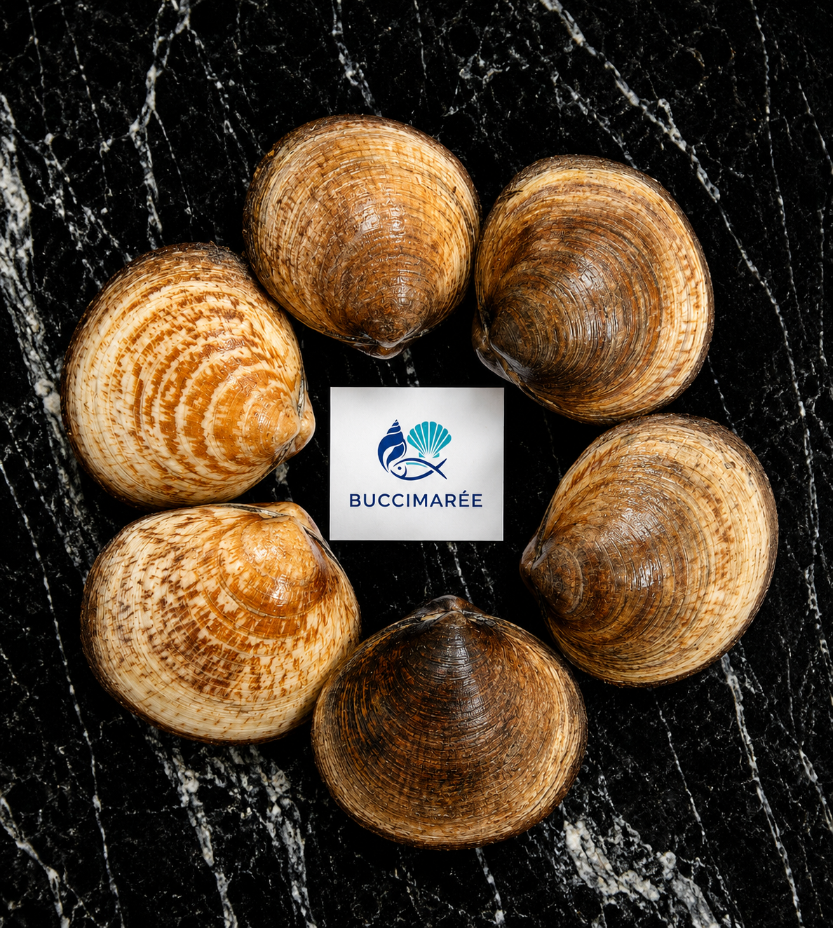 Amandes de mer