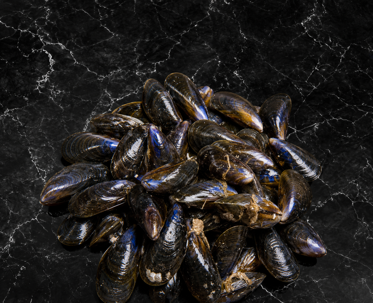 Moules de Bouchot
