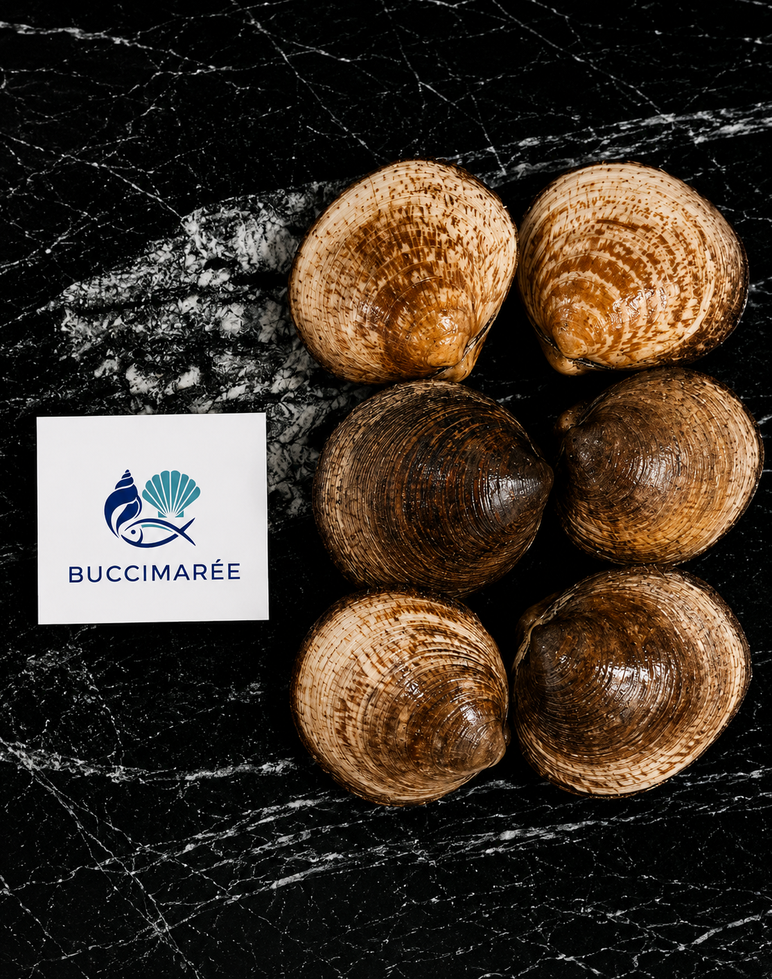 Amandes de mer