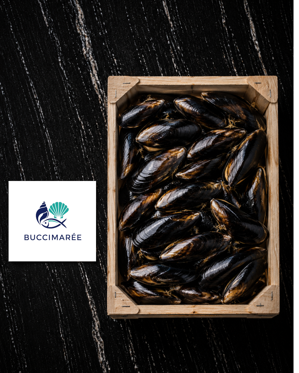 Moules de Bouchot