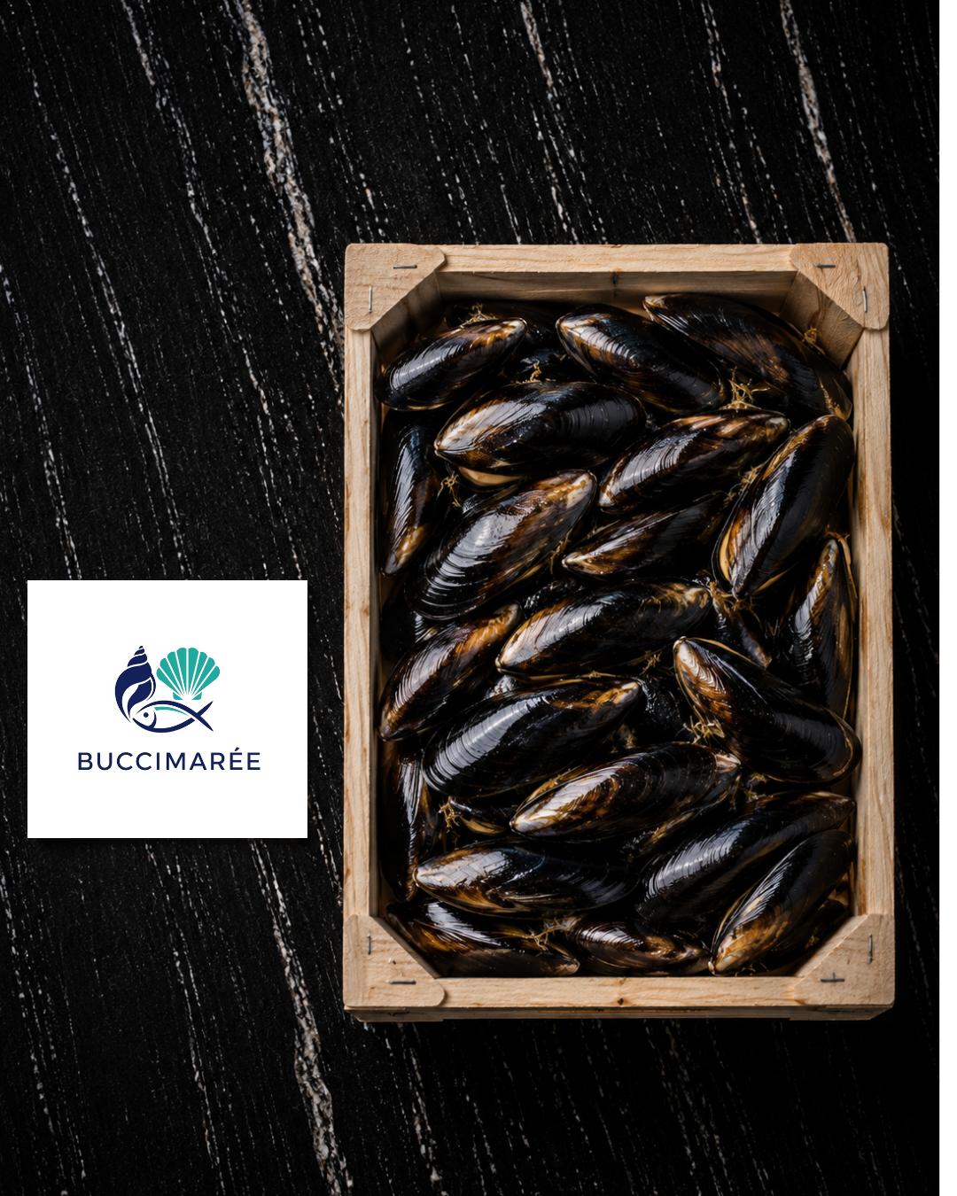 Moules de Bouchot